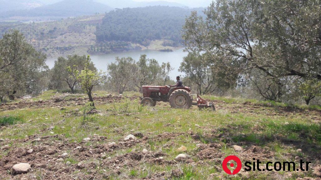 Zeytinlik 70 Dönüm, Kelepir, Baraj Kenarı, Çok verimli.. Edremit