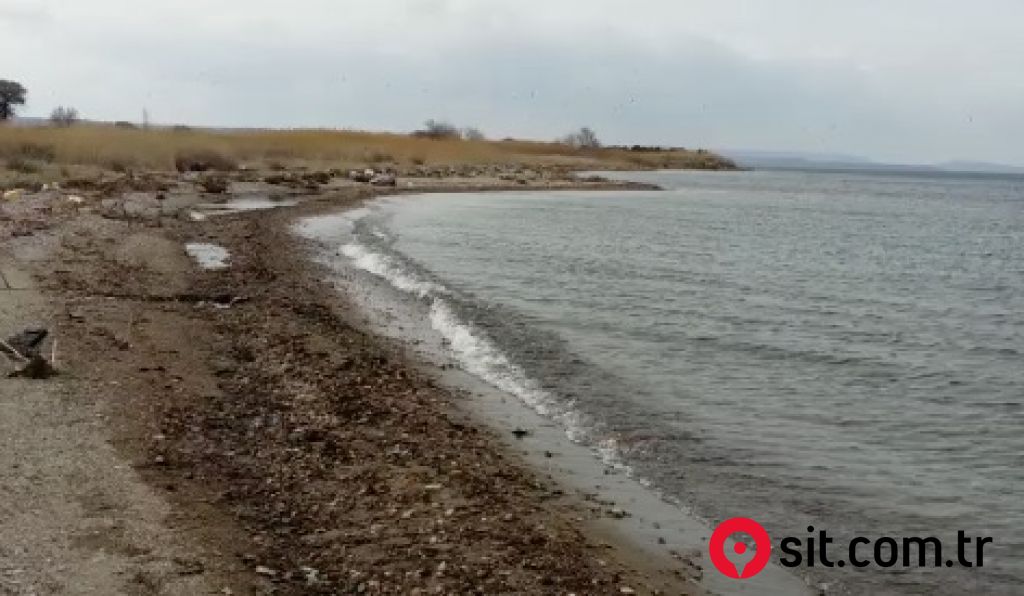 ÇANAKKALE ÖZBEK KÖYÜ DENİZE 300 METRE MEYVE BAHÇESİ