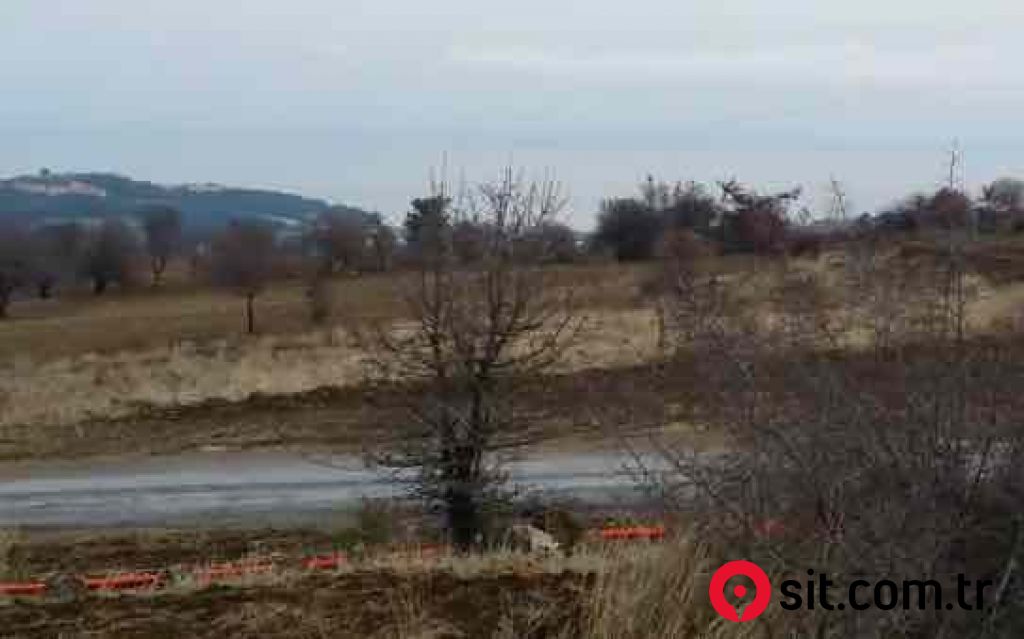 ÇANAKKALE LAPSEKİ SULUCA DENİZ VE BOĞAZ MANZARALI KUPON TARLA