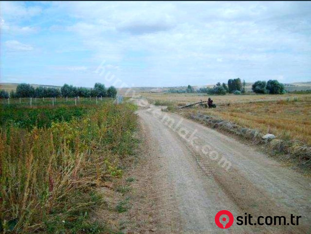 ANKARA ETİMESGUT BALLIKUYUMCU DA PORTAŞ YAKINI BULVAR CEPHELİ TARLA